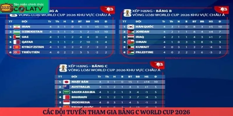 Các đội tuyển tham gia bảng C World Cup 2026
