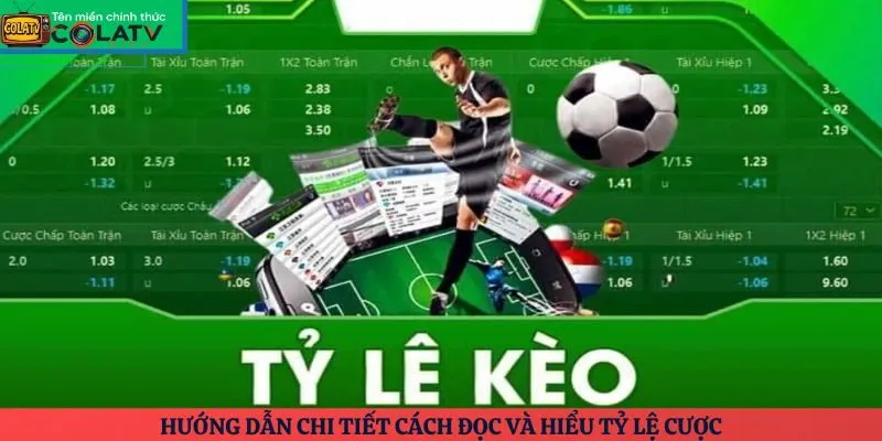 Hướng dẫn chi tiết cách đọc và hiểu tỷ lệ cược
